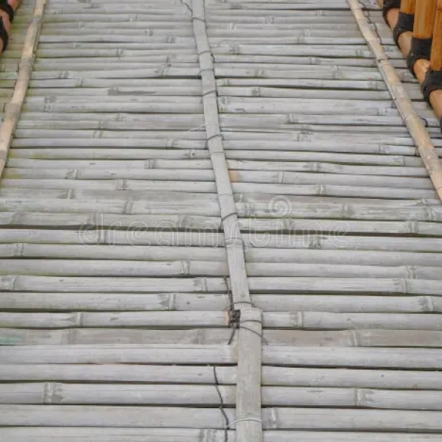 6w-ezgif.com-jpg-to-webp-converter